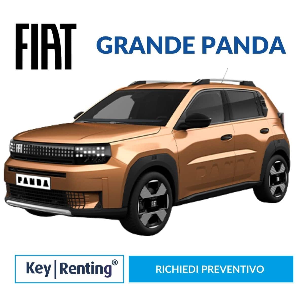Fiat Grande Panda Noleggio Lungo Termine